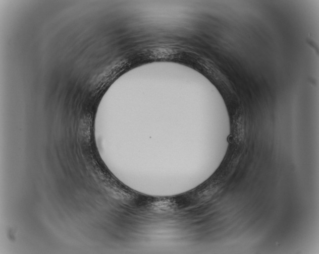 X0000100750505200807101706