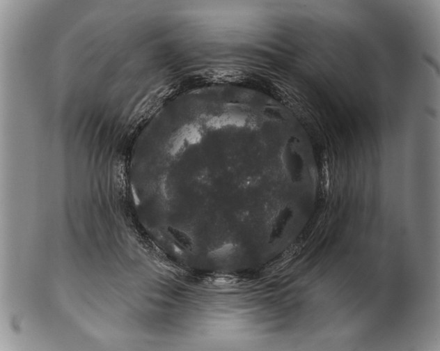 X0000100750506200807101706