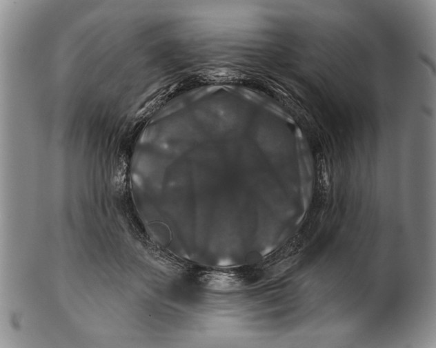 X0000100750507200807101706