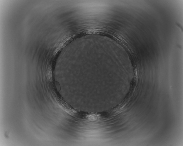 X0000100750508200807101706