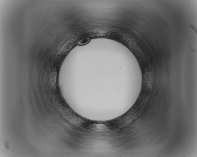 X0000100750509200807101706