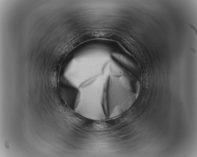 X0000100750510200807101706