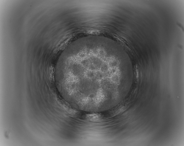 X0000100750511200807101706