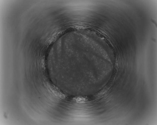 X0000100750512200807101706