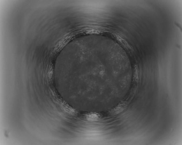 X0000100750513200807101706