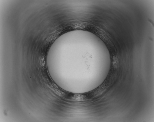 X0000100750514200807101706