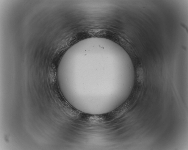 X0000100750515200807101706