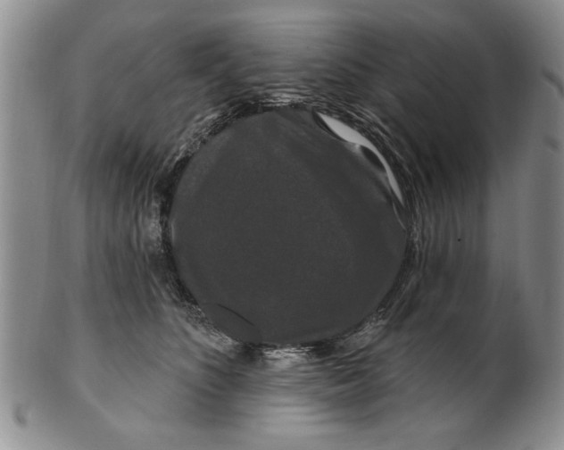 X0000100750516200807101706