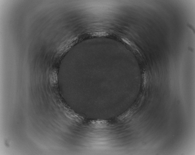 X0000100750517200807101706