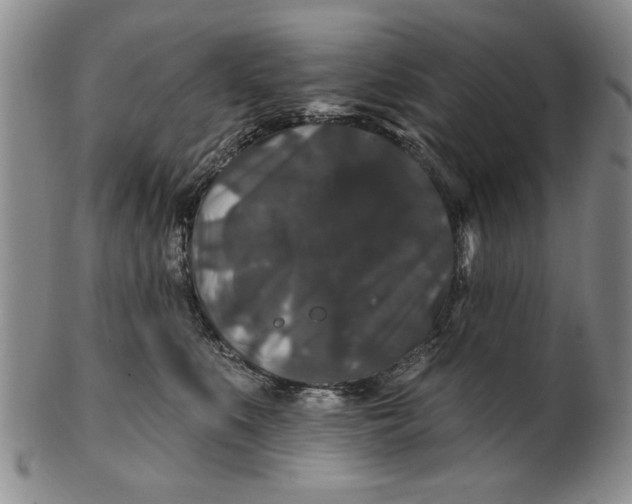 X0000100750519200807101706