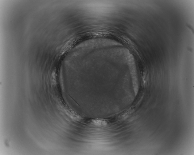 X0000100750520200807101706