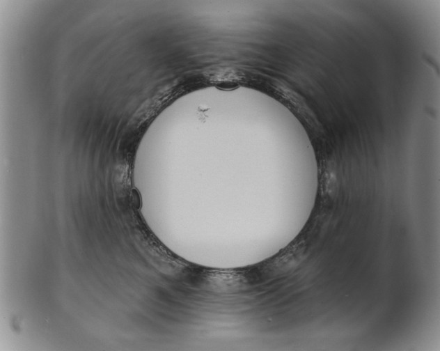 X0000100750521200807101706