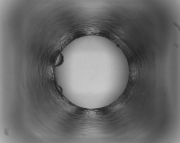 X0000100750523200807101706