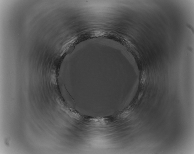 X0000100750524200807101706