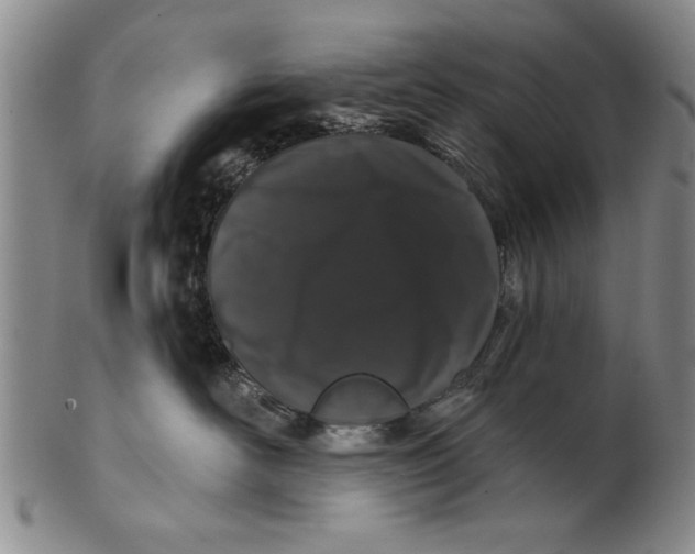 X0000100750526200807101706