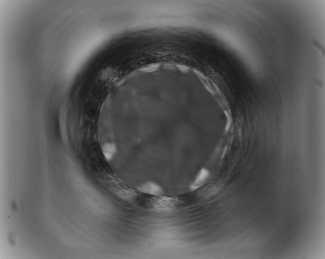 X0000100750527200807101706