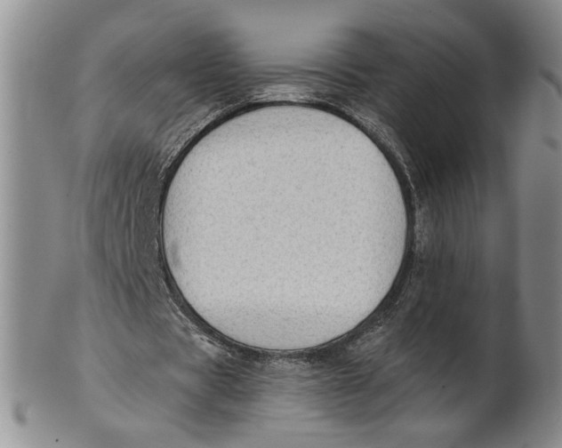 X0000100750529200807101705