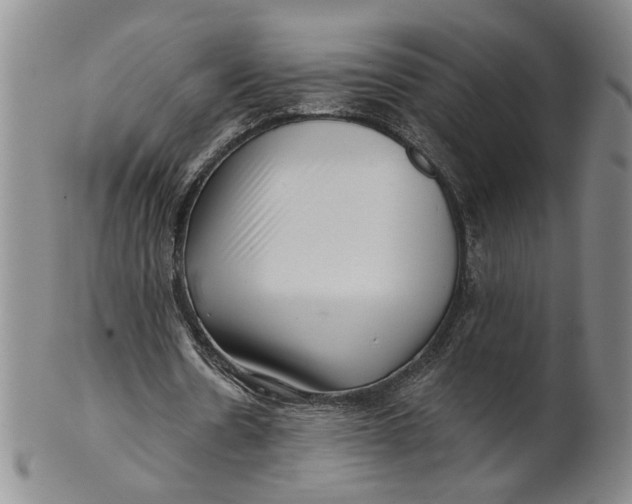 X0000100750530200807101705