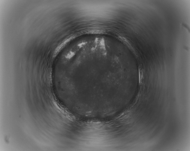 X0000100750531200807101705