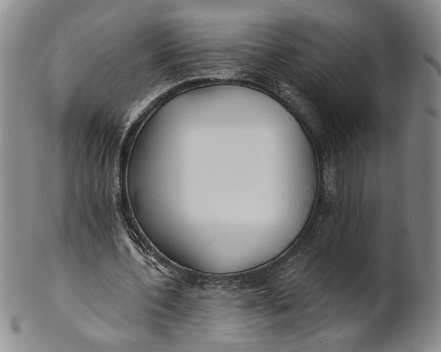 X0000100750532200807101705