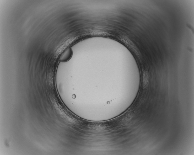 X0000100750533200807101705