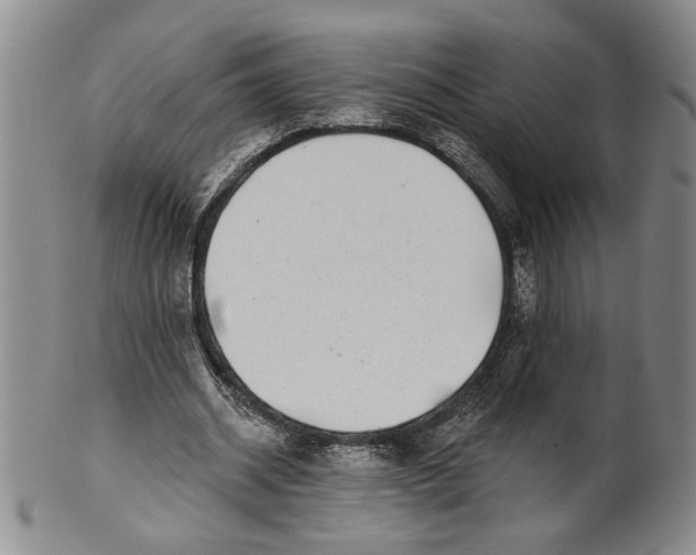 X0000100750534200807101705