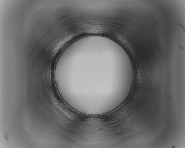 X0000100750535200807101705