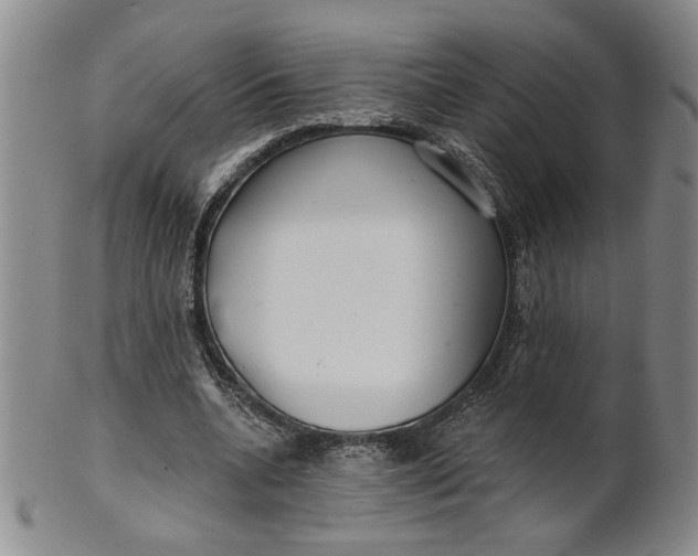 X0000100750536200807101705