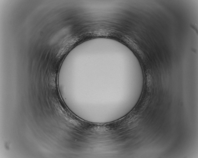 X0000100750537200807101705