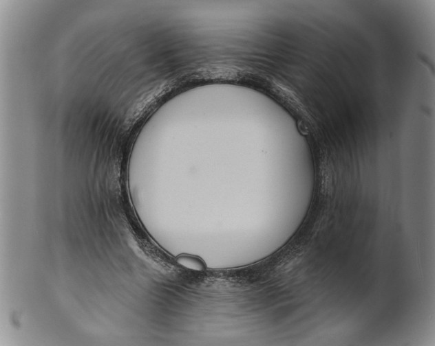 X0000100750538200807101705