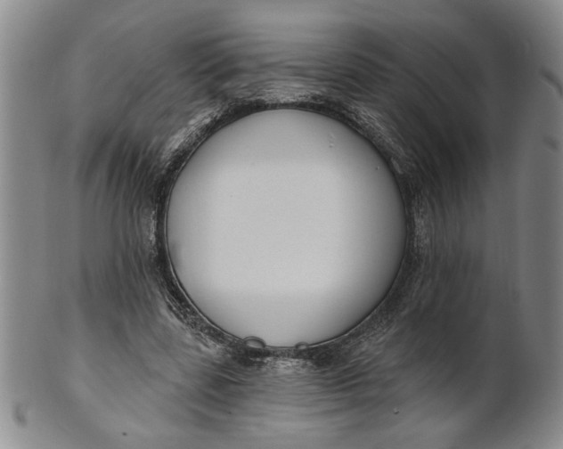 X0000100750539200807101705