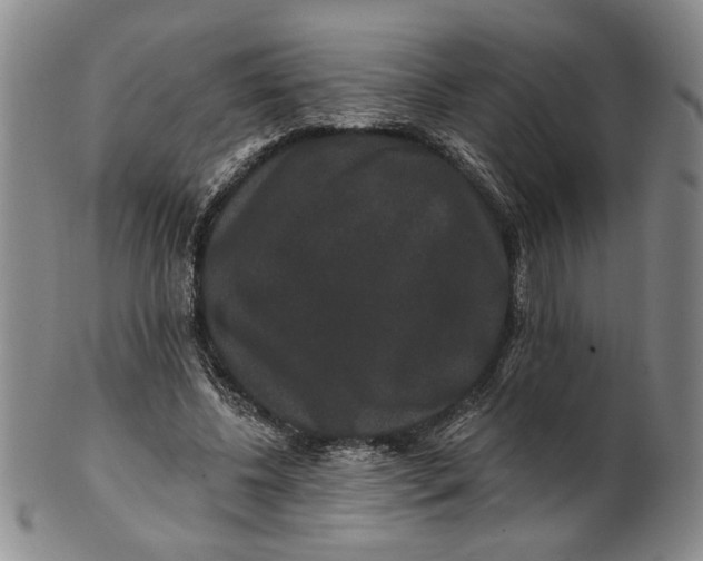 X0000100750540200807101705