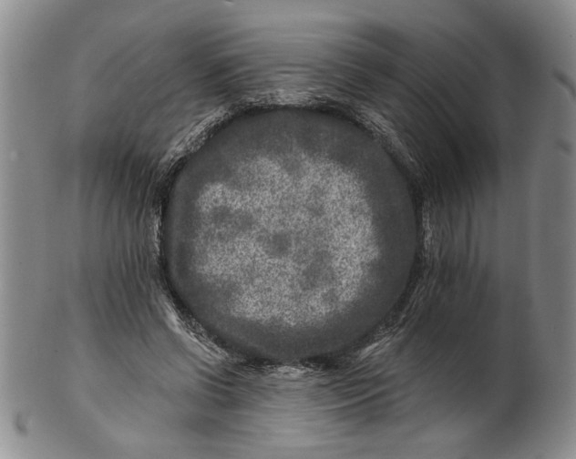 X0000100750542200807101705