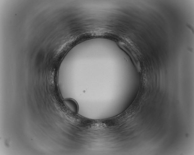 X0000100750543200807101705