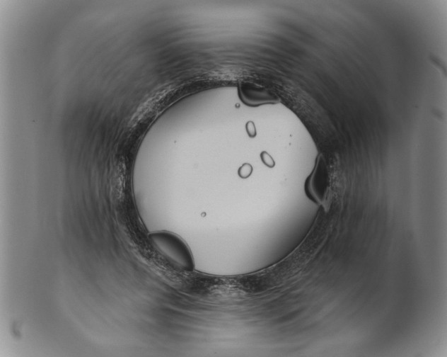 X0000100750544200807101706