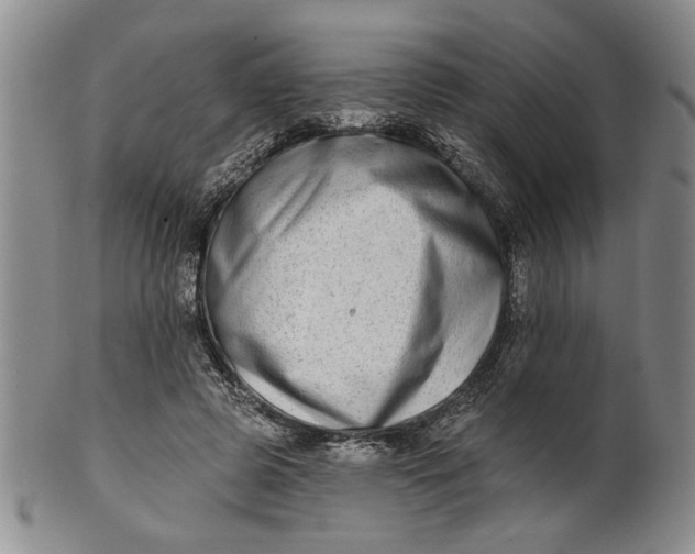 X0000100750545200807101706