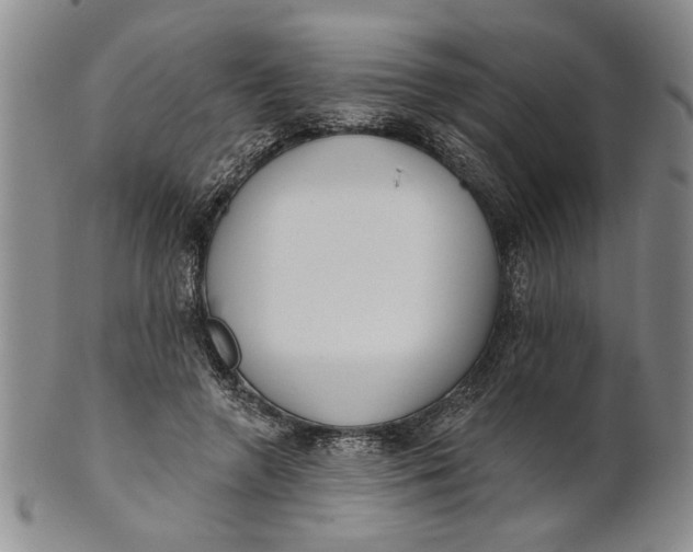 X0000100750546200807101706