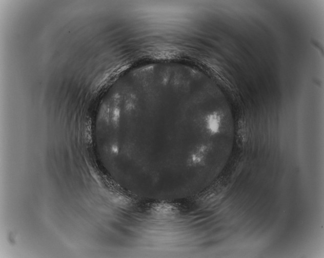 X0000100750547200807101706