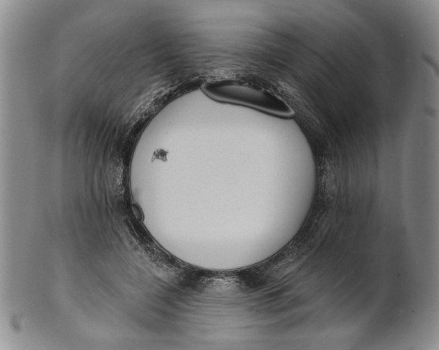 X0000100750548200807101706