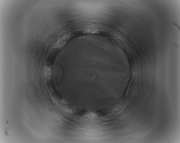 X0000100750551200807101706