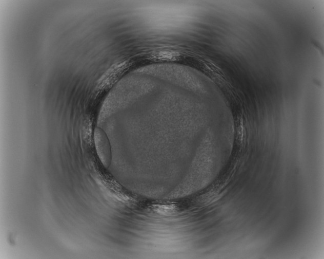 X0000100750552200807101706