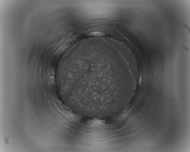 X0000100750553200807101706