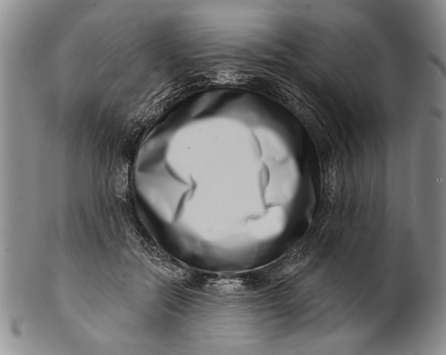 X0000100750554200807101706