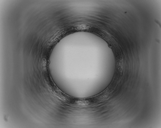 X0000100750556200807101706