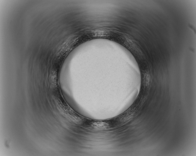 X0000100750557200807101706