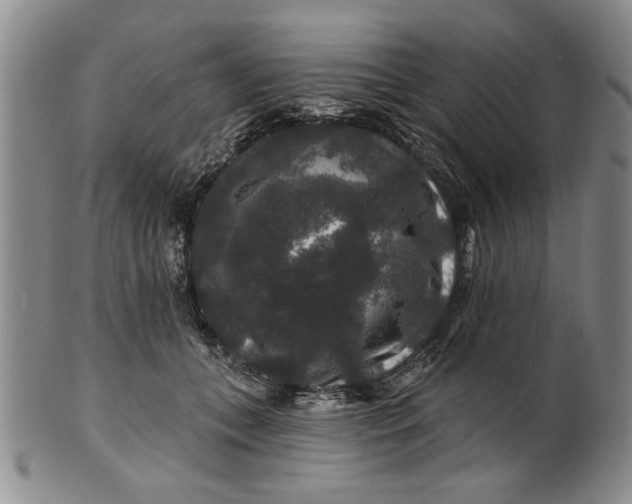 X0000100750559200807101706