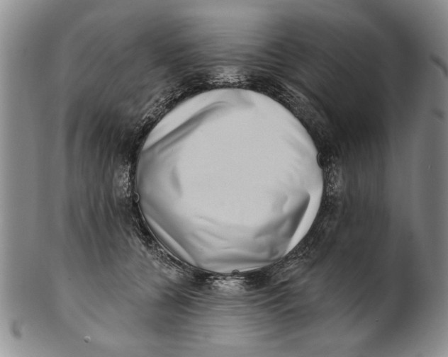 X0000100750560200807101706