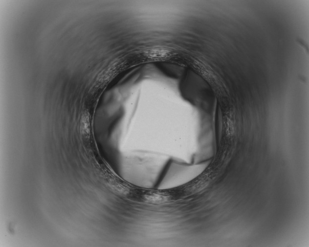 X0000100750561200807101706