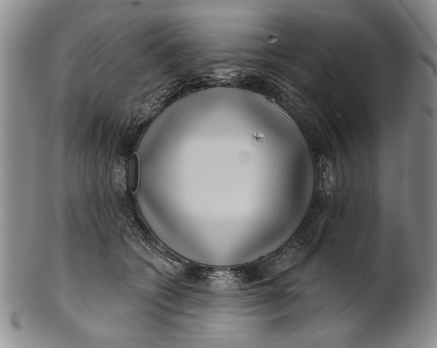 X0000100750562200807101706