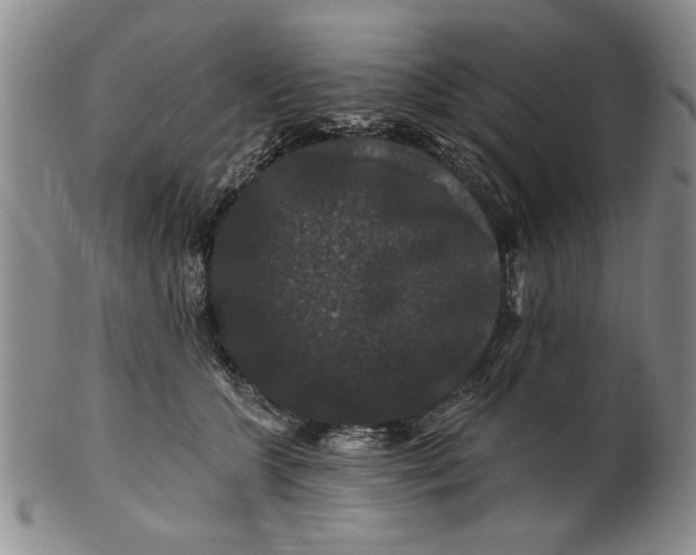 X0000100750563200807101706